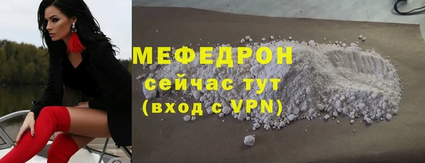 гашик Богданович