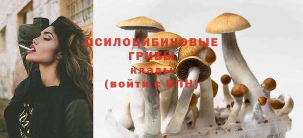прущая мука Белоозёрский