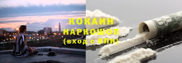 гашик Богданович