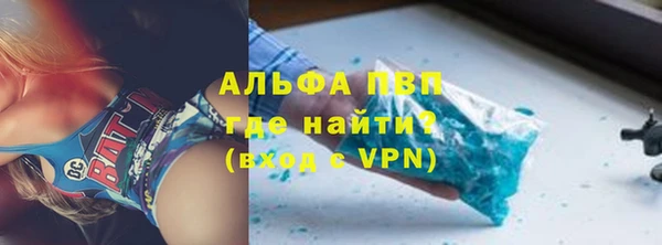 гашик Богданович
